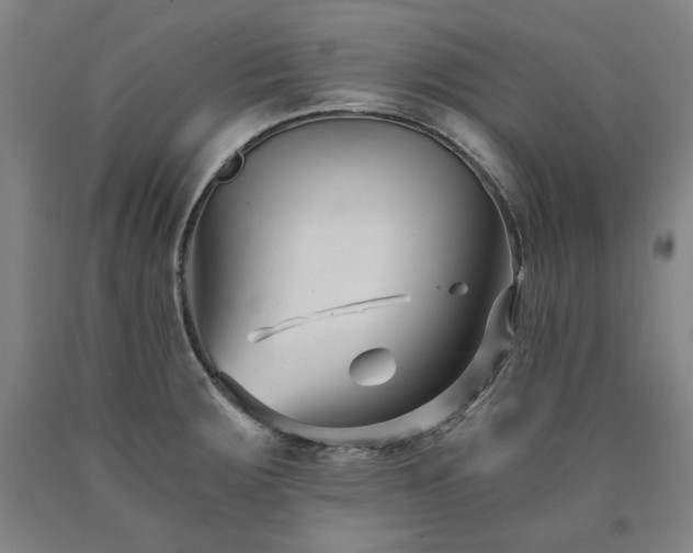 X0000090921283200707301525