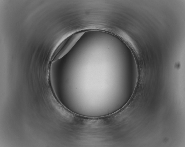 X0000090921284200707301525