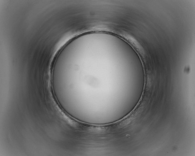 X0000090921286200707301525