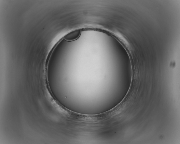 X0000090921287200707301525
