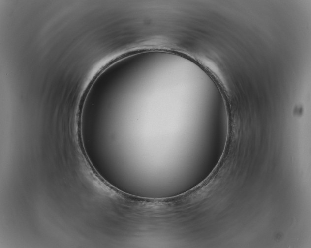 X0000090921288200707301525