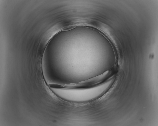 X0000090921289200707301525