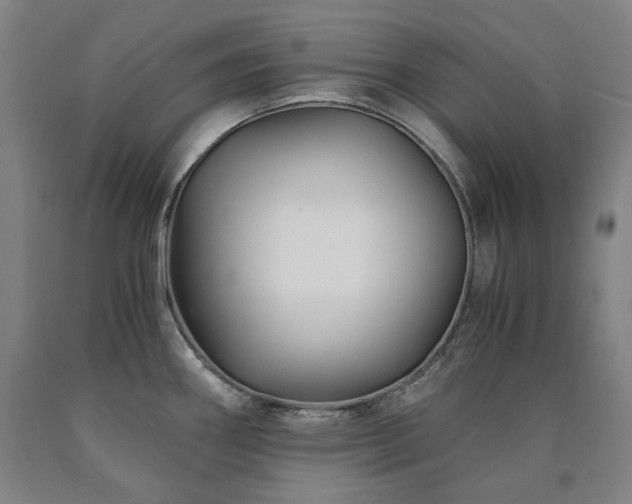 X0000090921290200707301525
