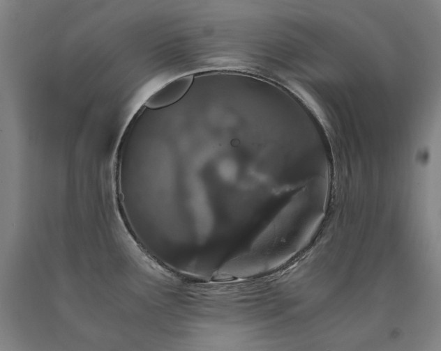 X0000090921291200707301525
