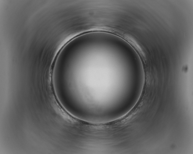 X0000090921292200707301525