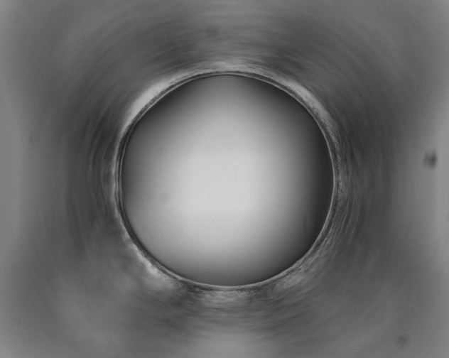 X0000090921294200707301525