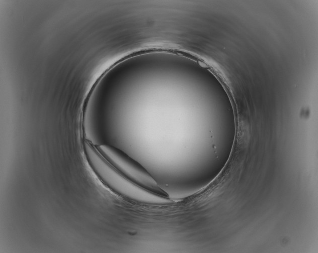 X0000090921295200707301525