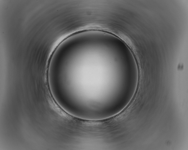 X0000090921296200707301525