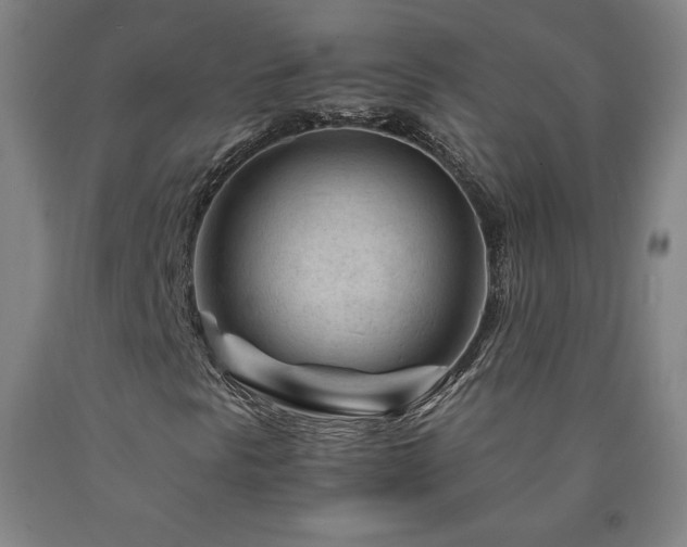 X0000090921297200707301524