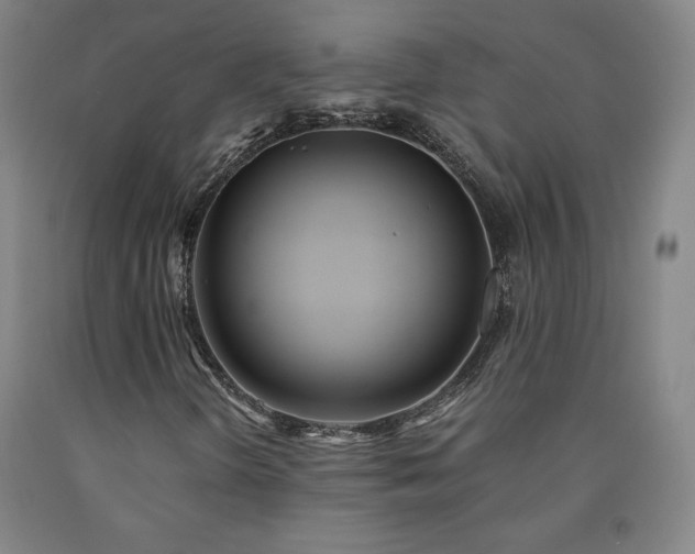 X0000090921298200707301524