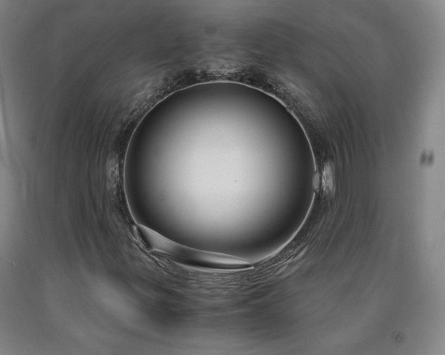 X0000090921299200707301524