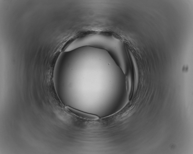 X0000090921300200707301525