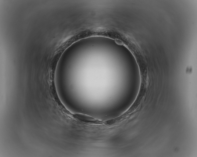 X0000090921301200707301525