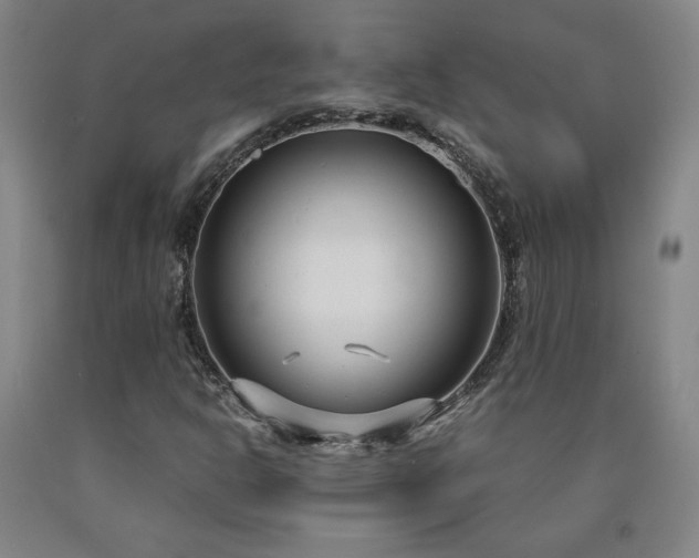 X0000090921302200707301525