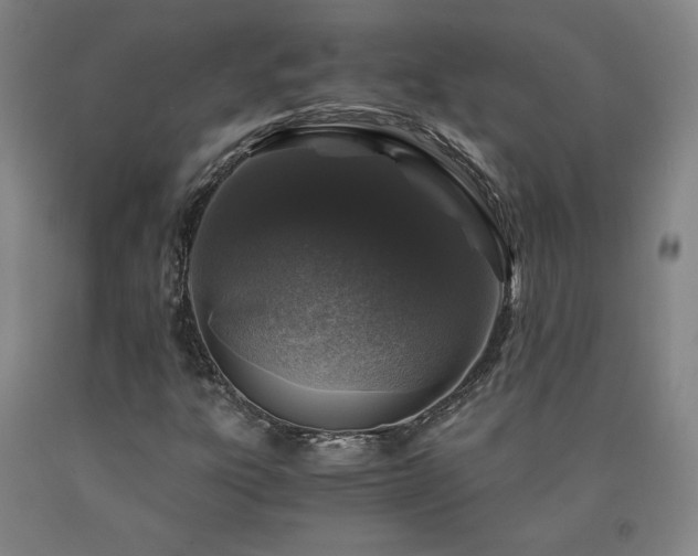 X0000090921303200707301525
