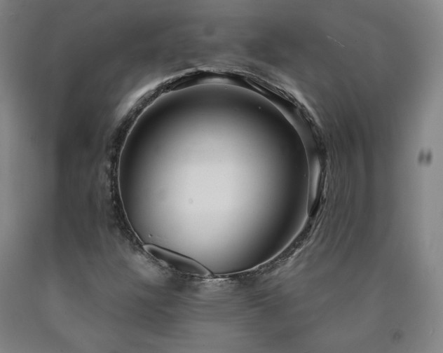 X0000090921304200707301525