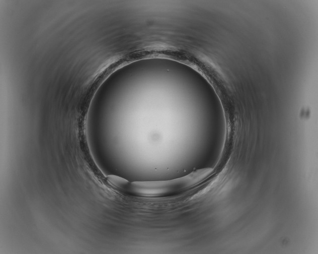 X0000090921305200707301525