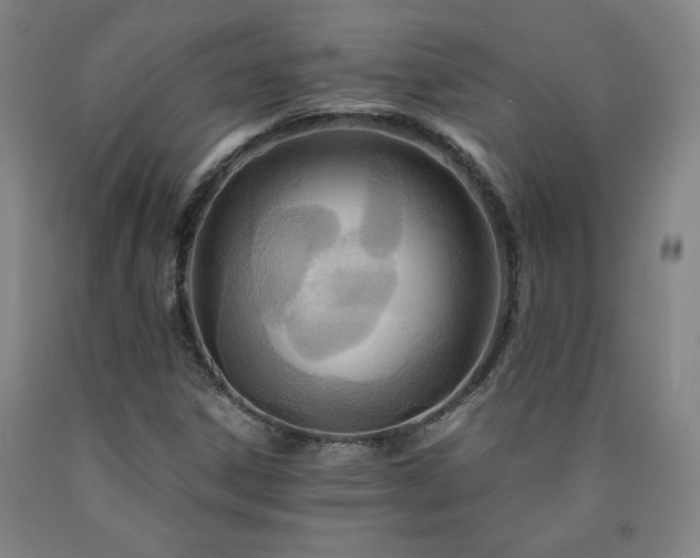 X0000090921306200707301525
