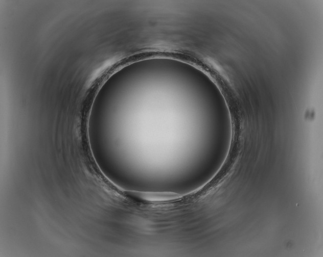 X0000090921307200707301525