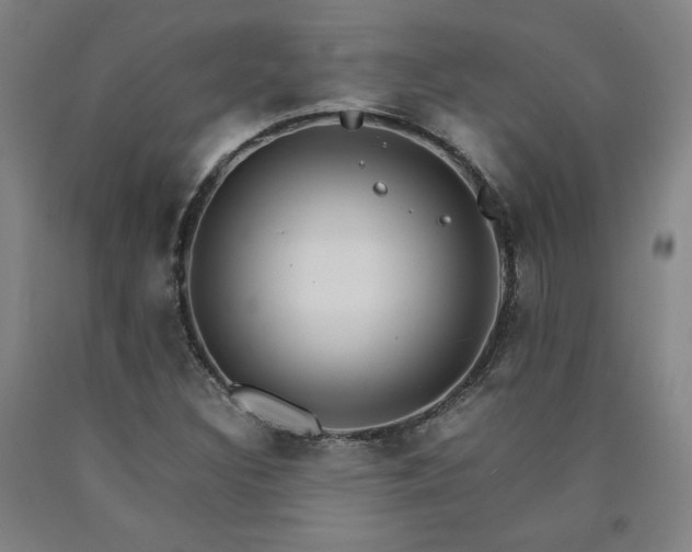 X0000090921308200707301525