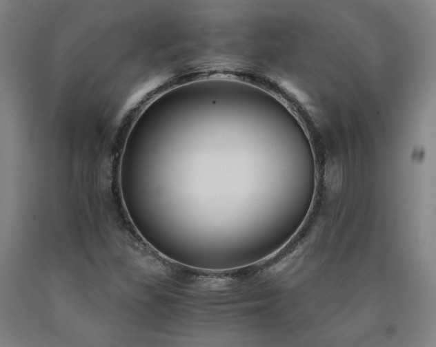 X0000090921309200707301525