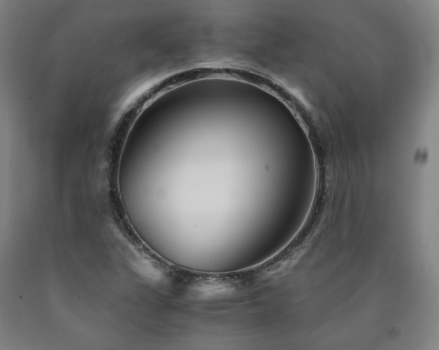 X0000090921311200707301525