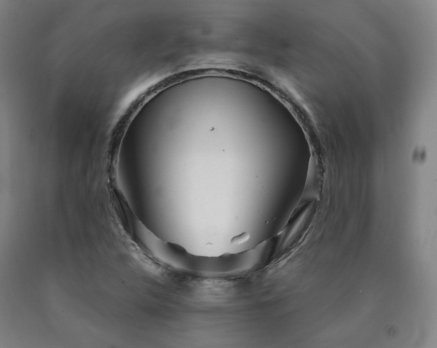X0000090921312200707301525