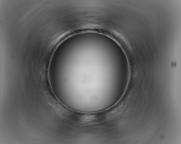 X0000090921313200707301525