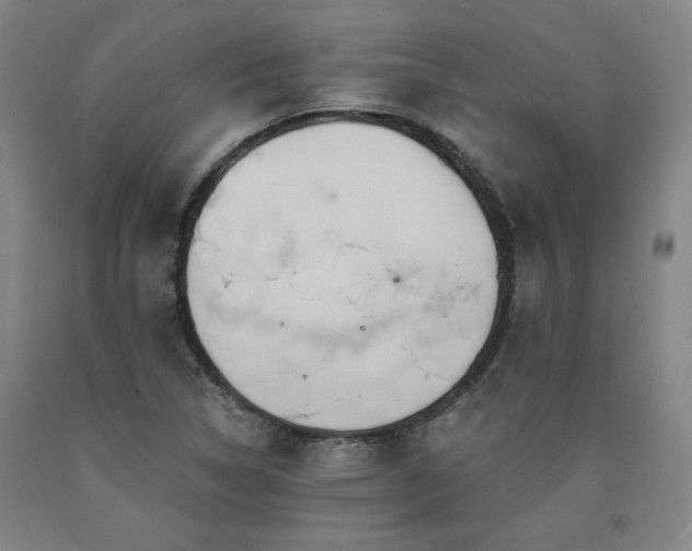 X0000090921314200707301525