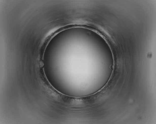 X0000090921315200707301525