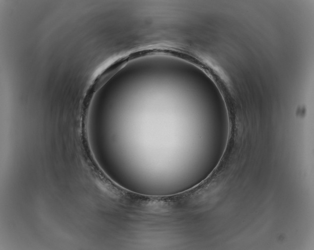 X0000090921316200707301525