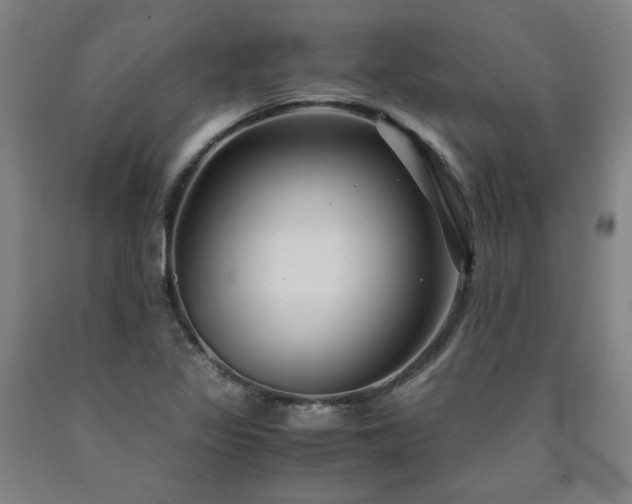 X0000090921317200707301525