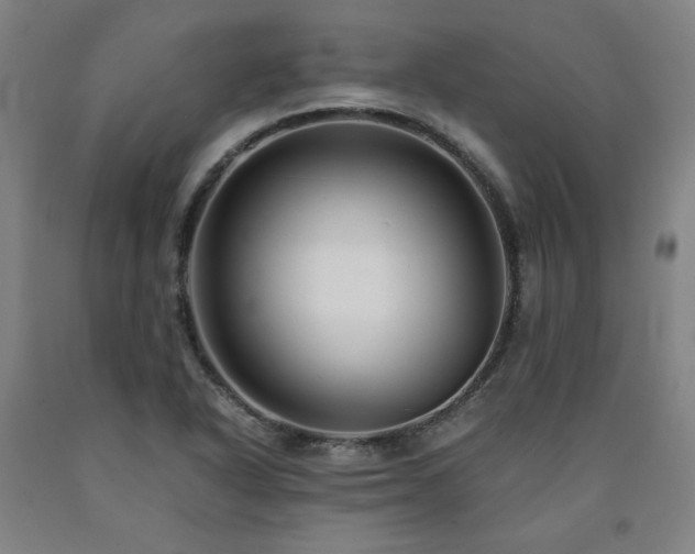 X0000090921318200707301525
