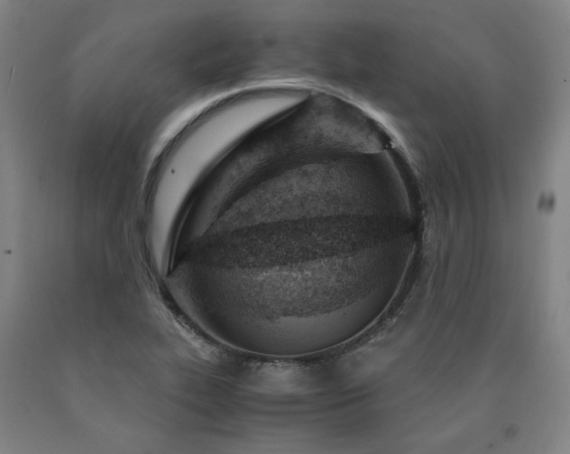 X0000090921319200707301525