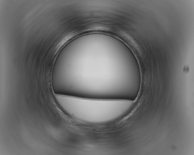 X0000090921321200707301525