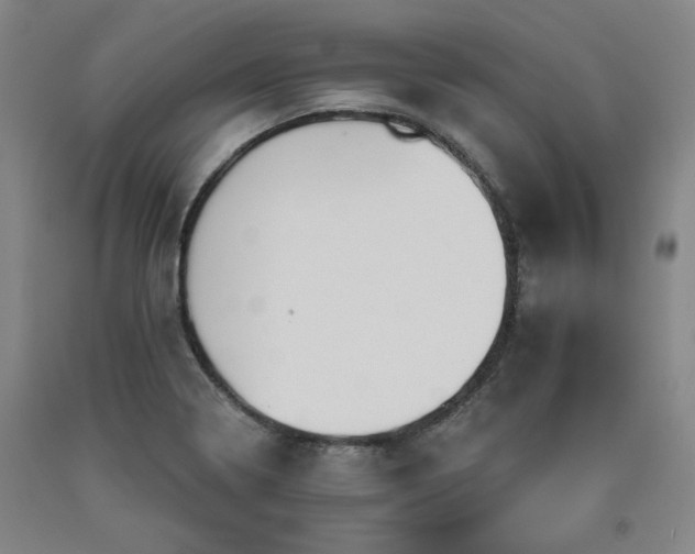 X0000090921322200707301525