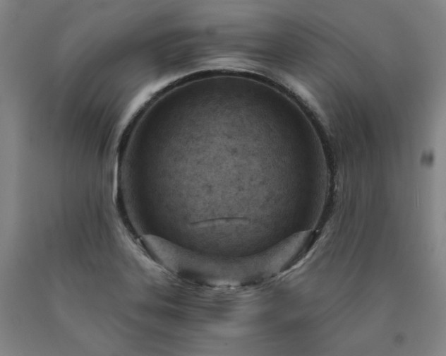 X0000090921323200707301525
