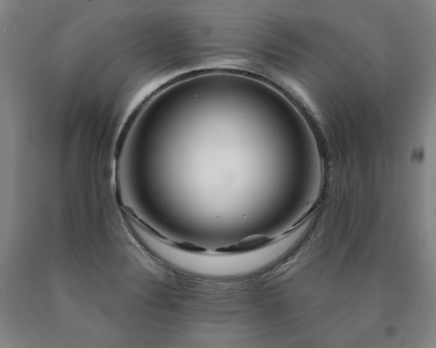 X0000090921324200707301525