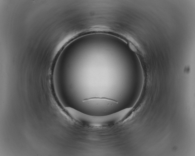 X0000090921325200707301525