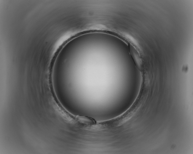 X0000090921326200707301525