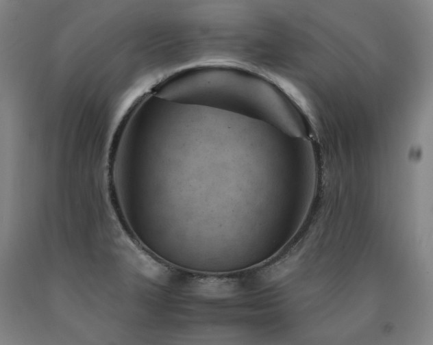 X0000090921327200707301525