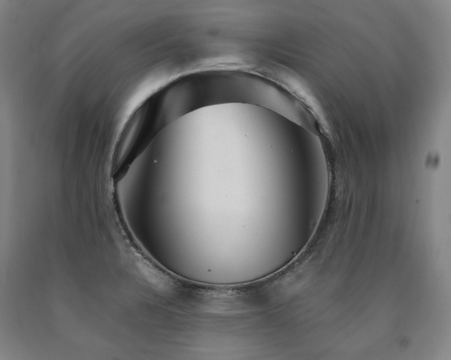 X0000090921328200707301525