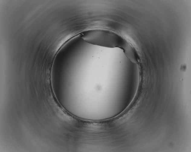 X0000090921329200707301525