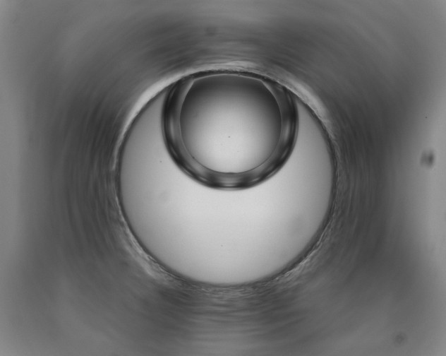 X0000090921332200707301525