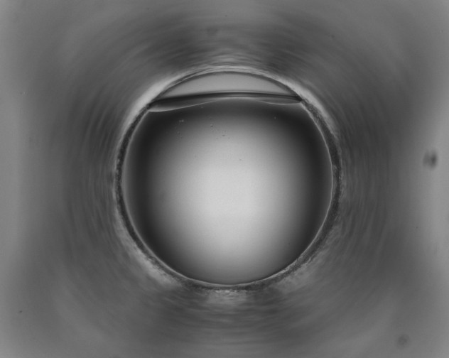 X0000090921333200707301525