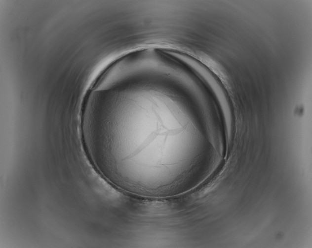 X0000090921334200707301525