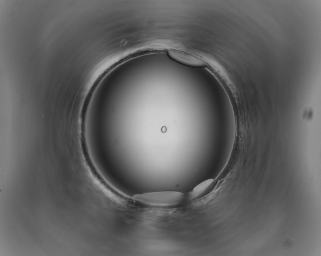 X0000090921335200707301525