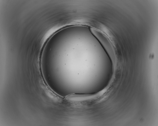 X0000090921336200707301525