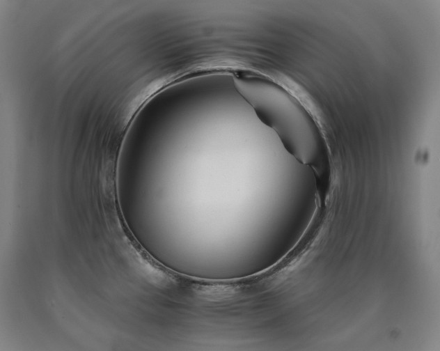 X0000090921337200707301525