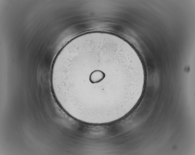 X0000090921338200707301525